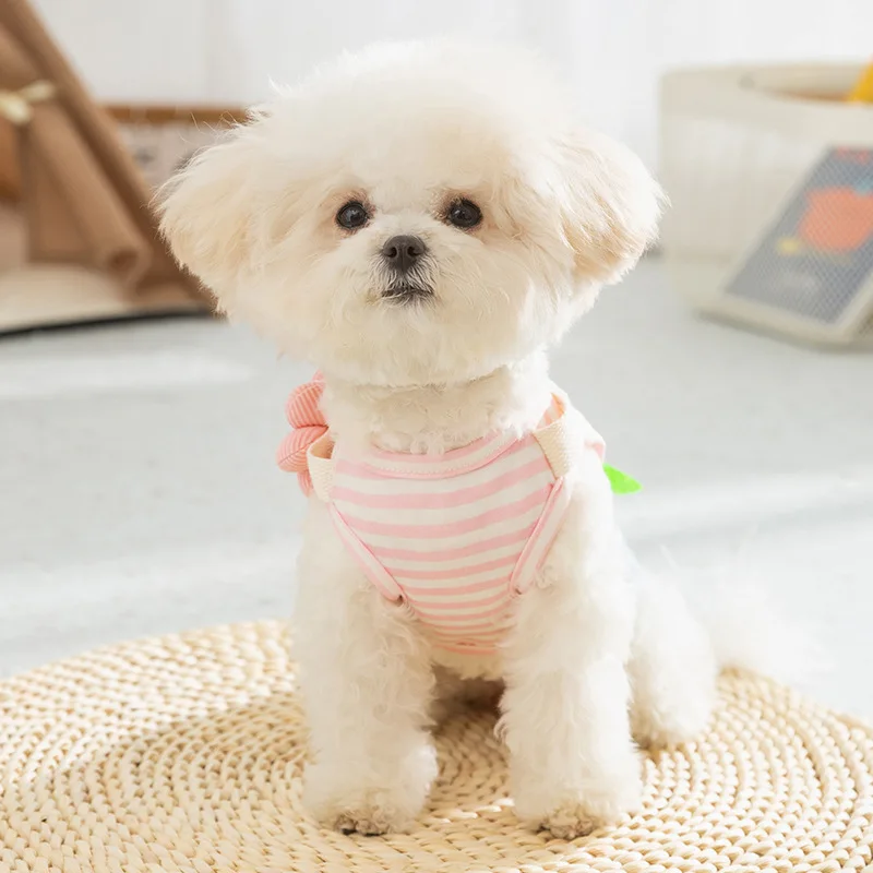 Denim Striped Pet Vest Dress 3