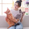 Cute Simulation Cat Plush Doll Pillow 3D Three-dimensional Cat Sleeping Pillow Sofa Cushion Nap Pillow 2