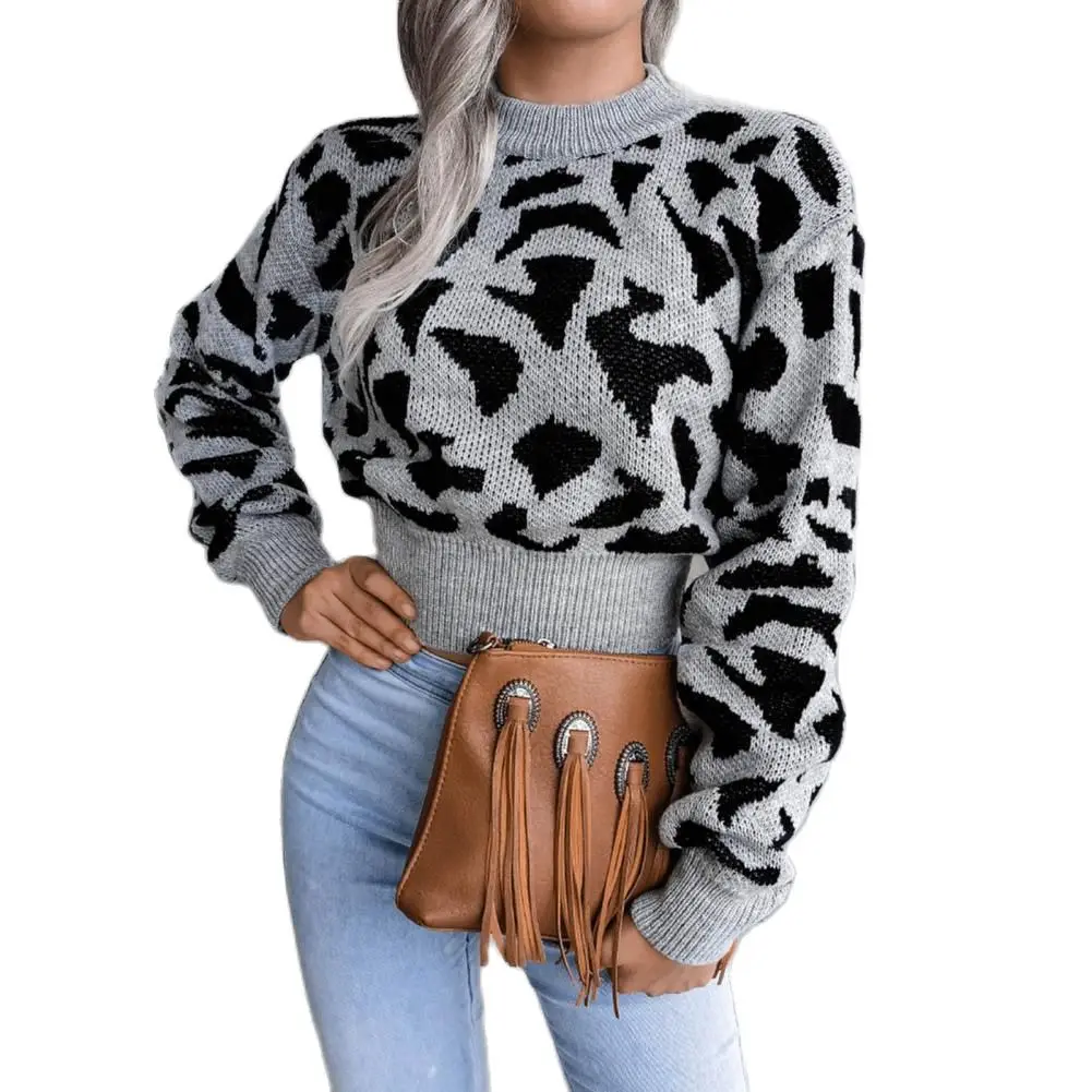 

Women Sweaters long sleeves Round Neck Knitted Top Loose Casual Sweater Jumpers Lady Pullover Knitwear Autumn Winter