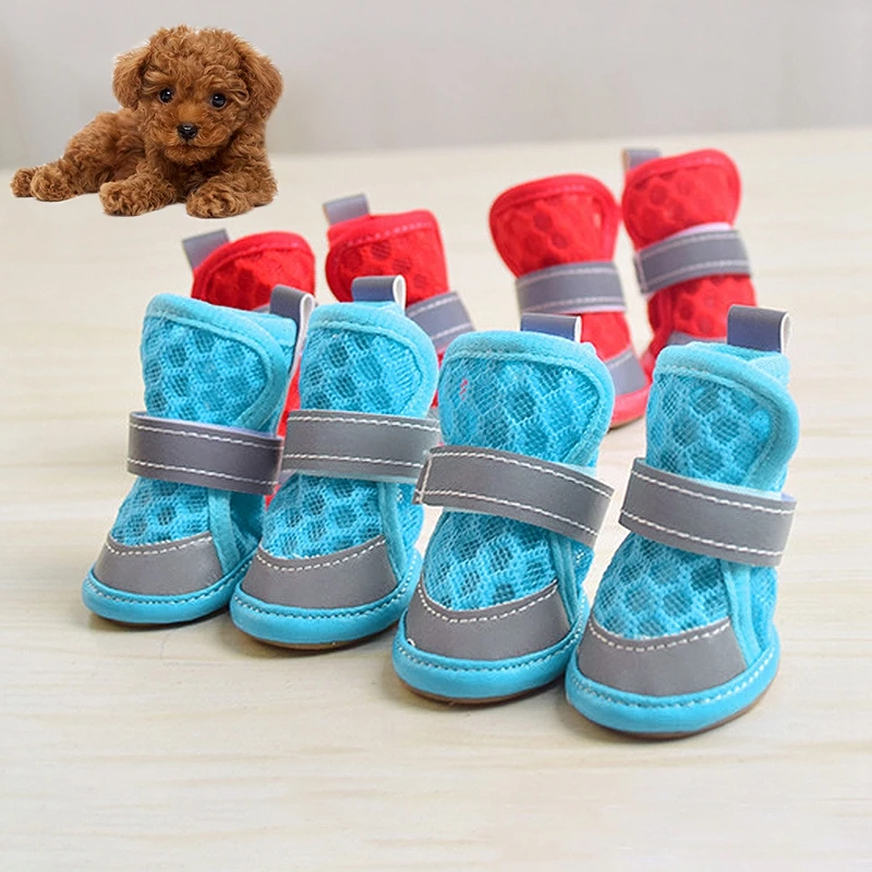 S64d59e5cec3045119cedad4eb0fba238n