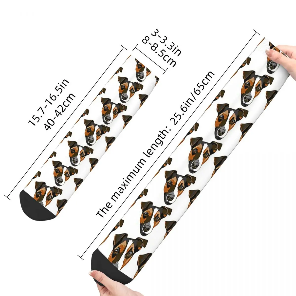 ϼ    ũ縻,   ׸, Ϳ  ౸ 縻, ũ 