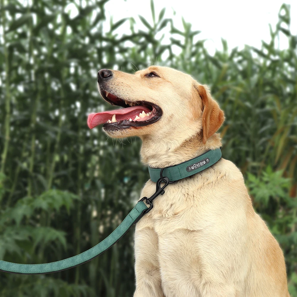 Custom Leather Dog Collar & Leash Set 5