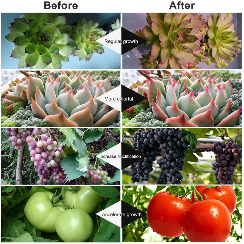 Рисунок 6 - Комнатный светодиодный светильник