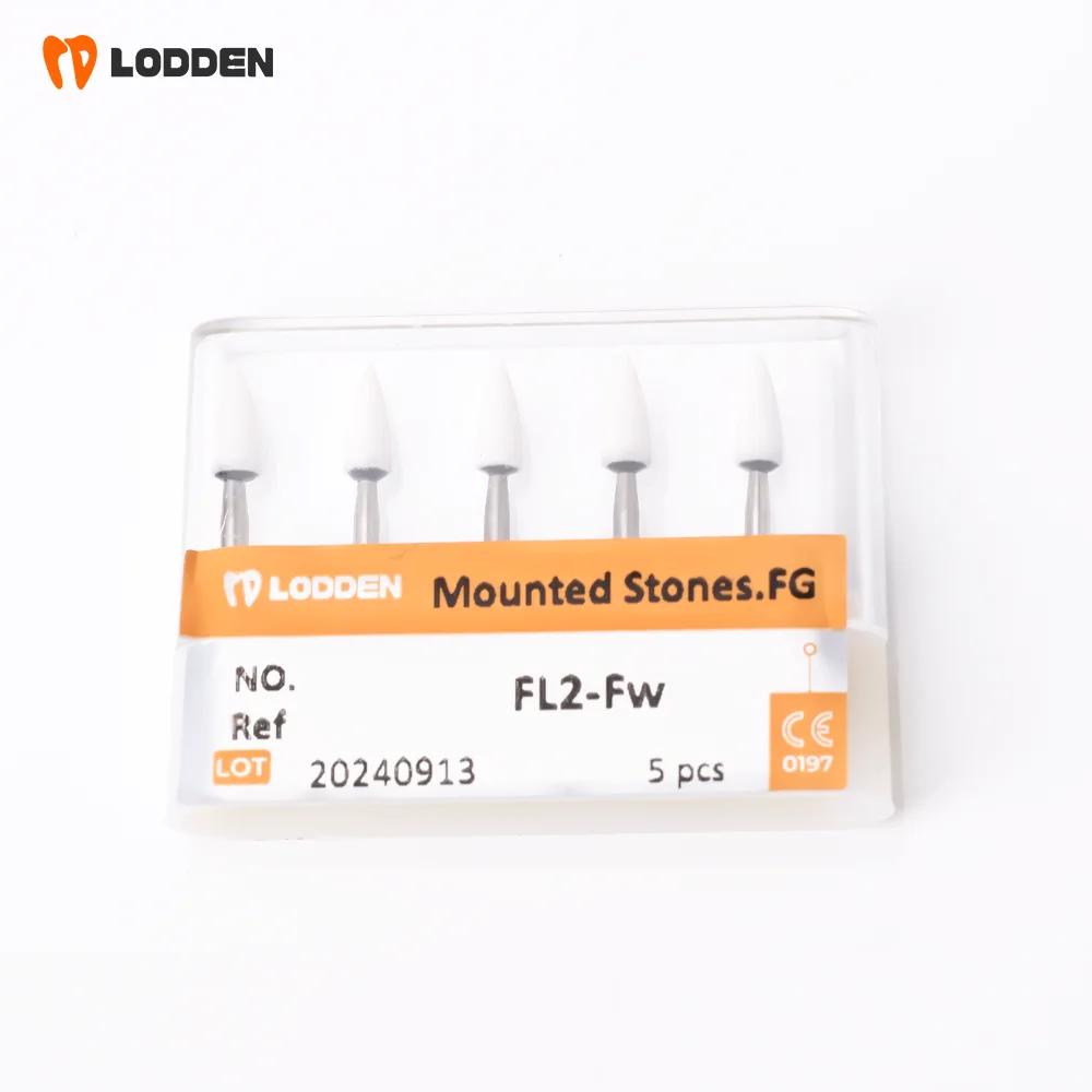 LODDEN 5 Stück Dental-Polierbohrer aus weißem Stein, Kegel-/Flammen-/runde Form, Abriebbohrer, FG zum Polieren, Füllen von Verbundwerkzeugen – Detail 1
