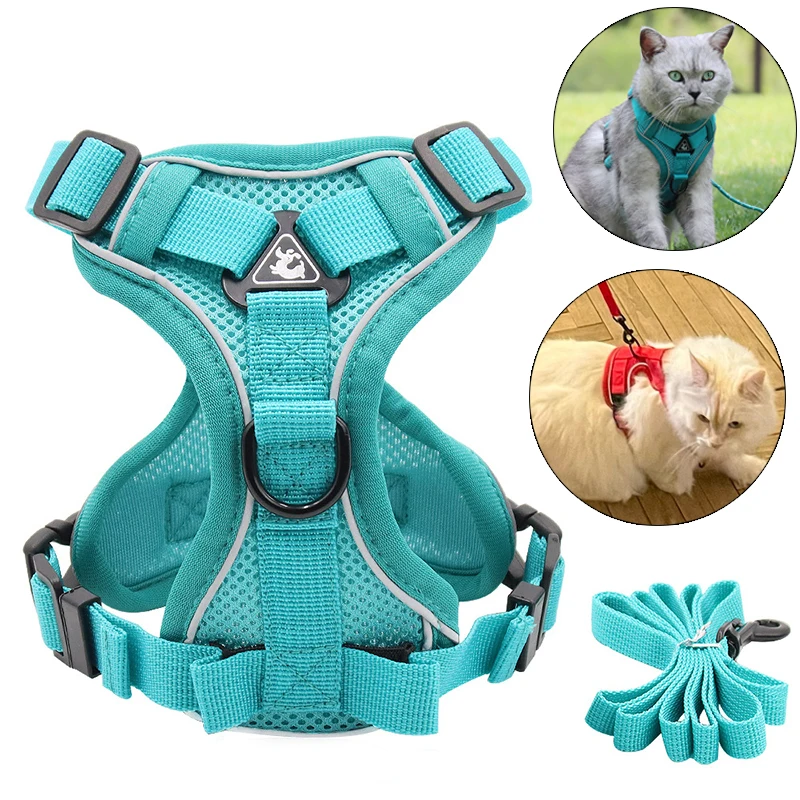 Reflective sphynx cat harness and leash