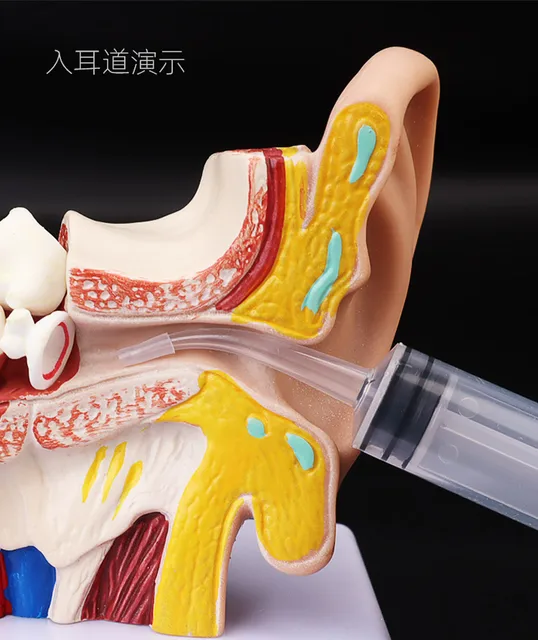 Store Home Products Anniversary Sale Feedback