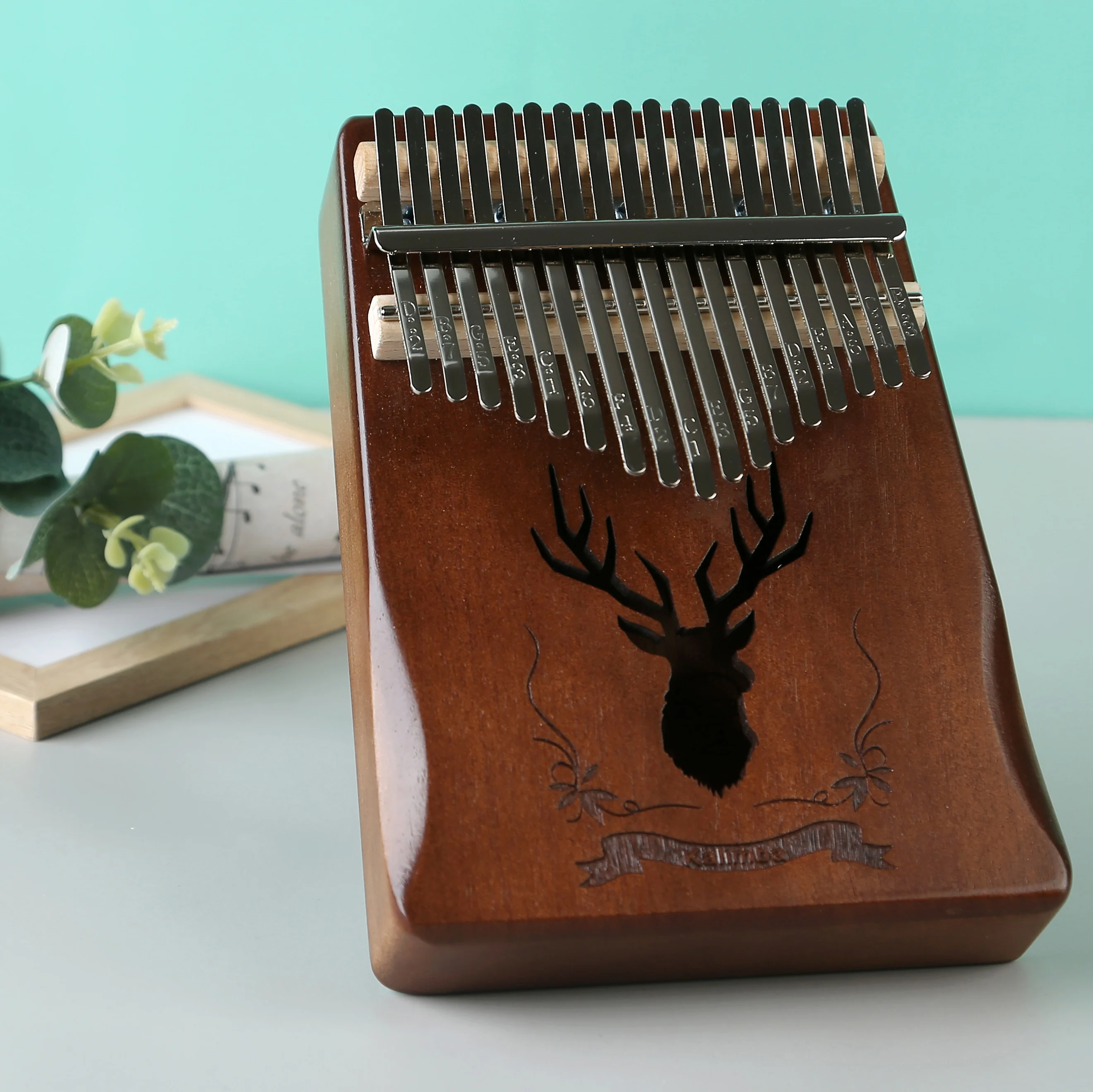 Lydezy Portable 17-Key Thumb Piano Kit - Perfect Gift