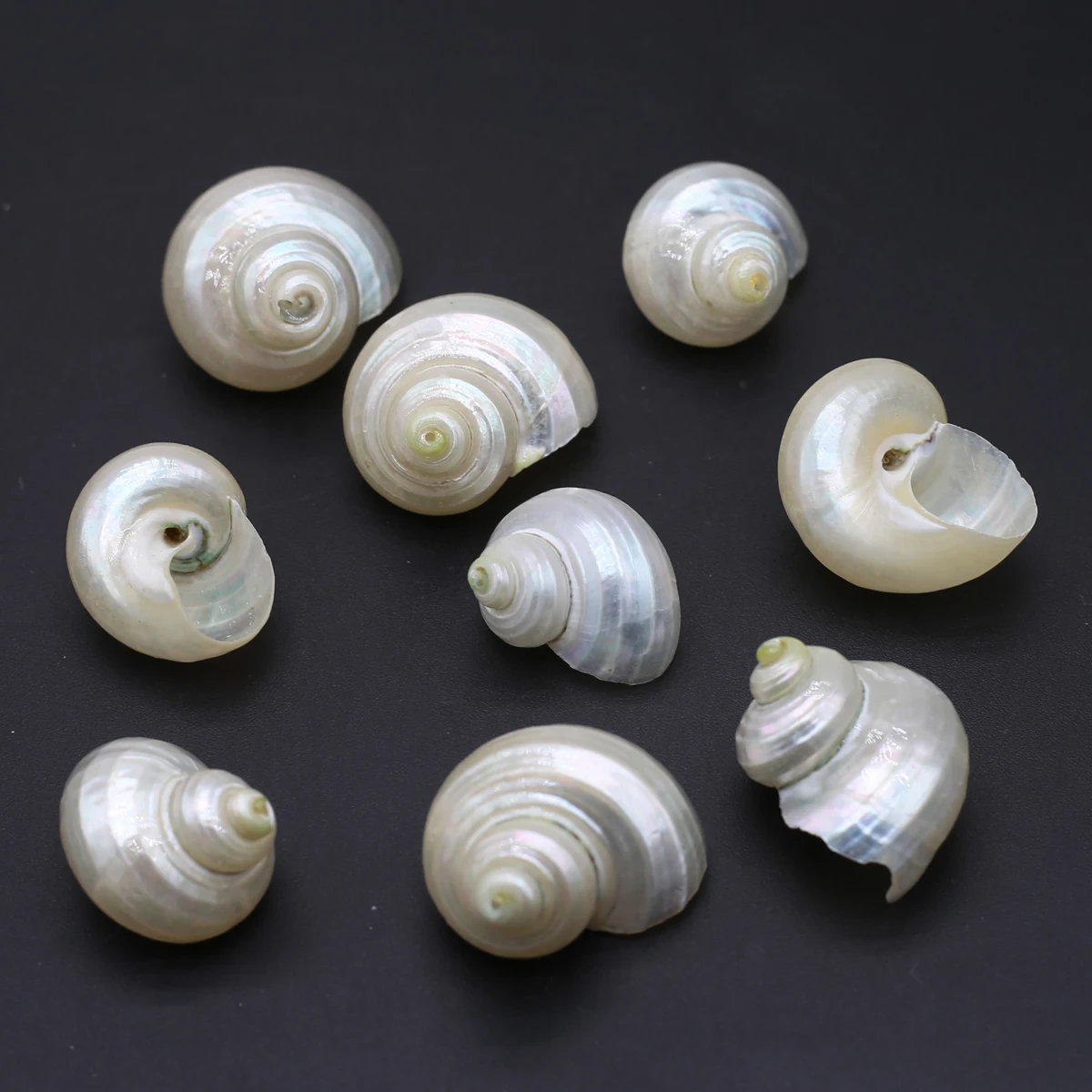 5-10pcs ڿ ȭƮ    ִ  DIY  м  ڵ ü  ׼