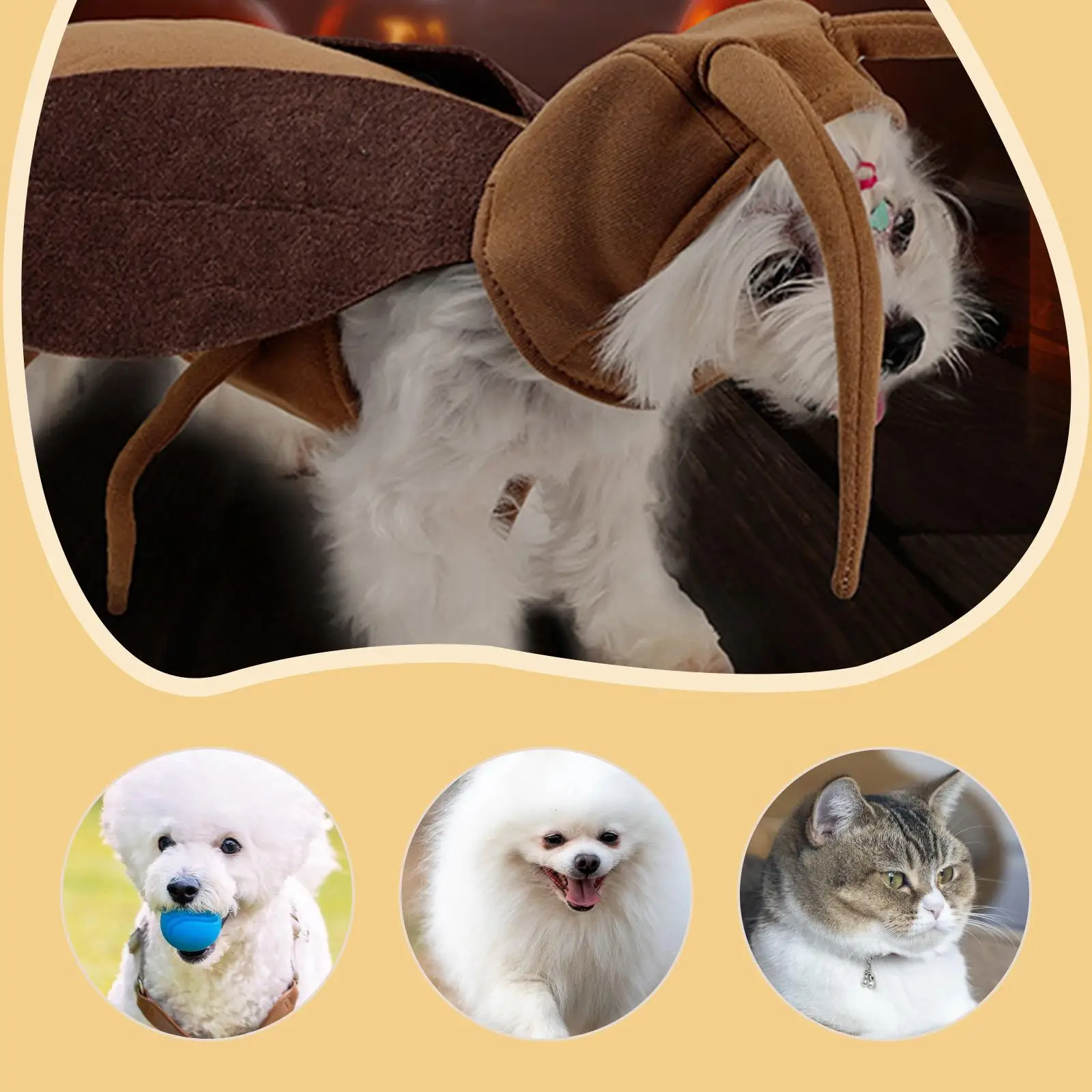 Creepy Cute Pet Costume 3