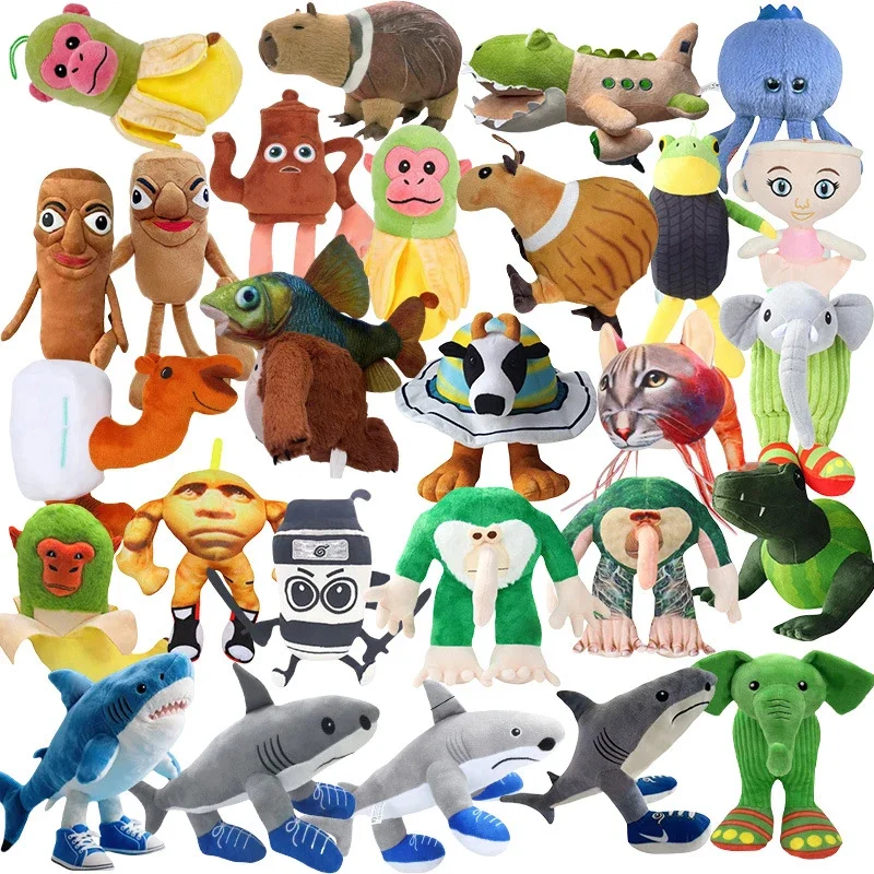 dsc-products