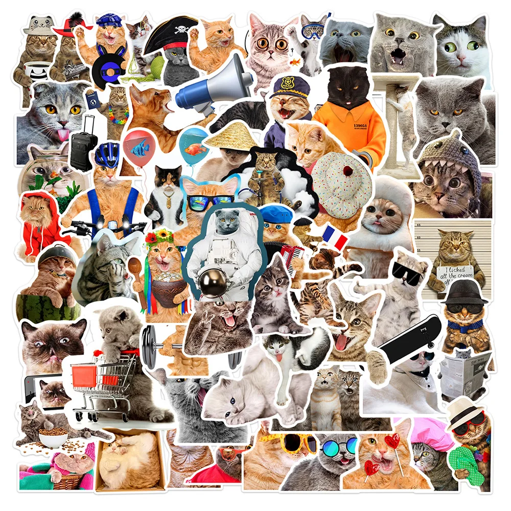 10/30/66pcs Funny MEME Cats Stickers Aesthetic Cute Animal Cartoon Decals DIY Phone Case Water Bottle Laptop Kawaii Kids Sticker