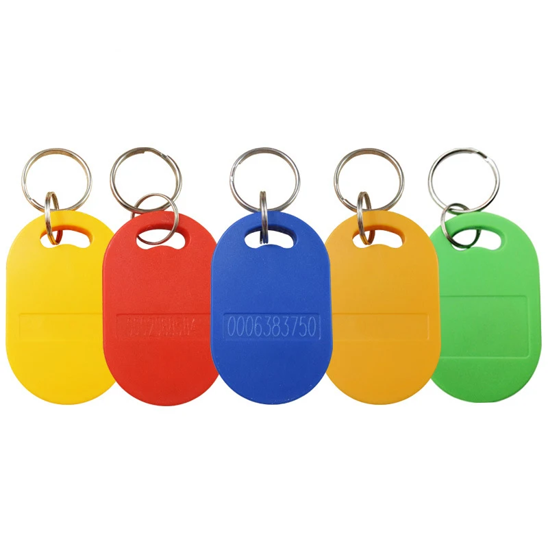 Pack of 100 RFID Key Fob Keychain Tags