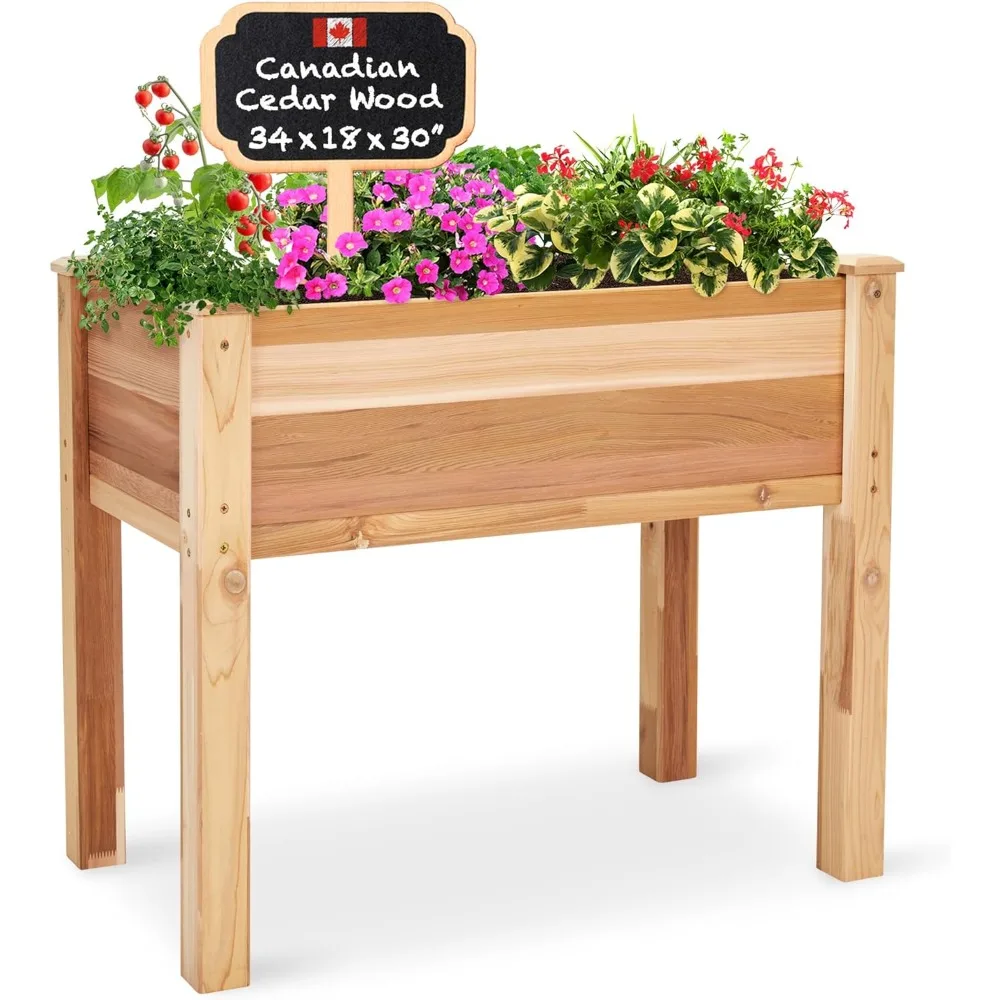

Elevated timber planter with raised Canadian cedar garden beds for growing fresh herbs,vegetables, flowers, and succulent plants