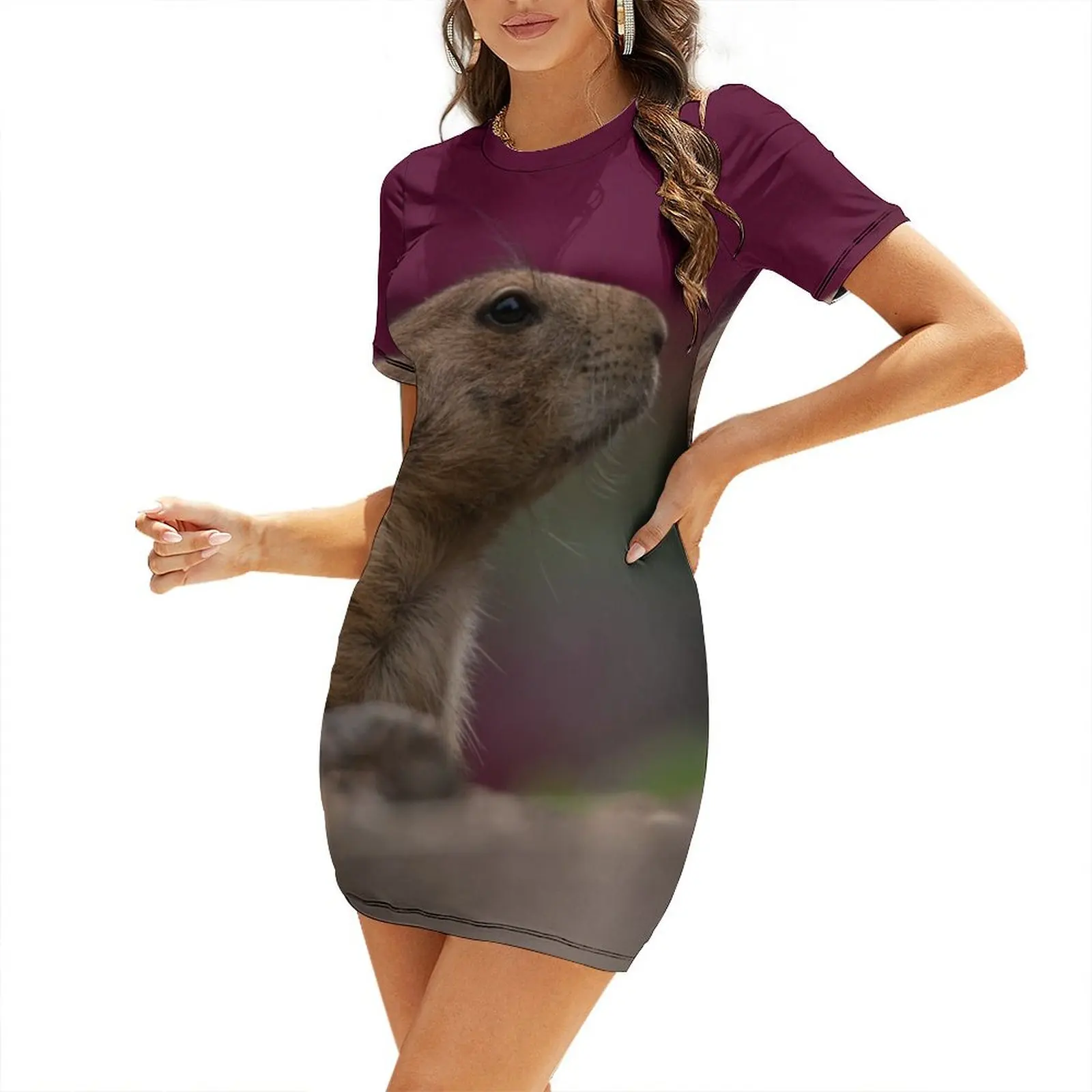 

Prairie Dog Short Sleeved Dress ladies dresses for special occasion prom dress