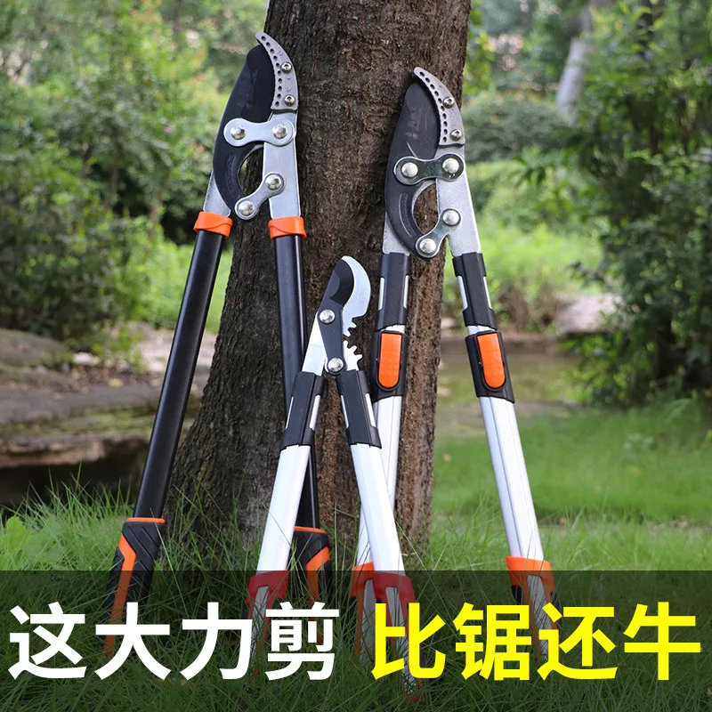 Coarse Branch Shears Strong Shears Telescopic Fruit Tree Pruning Lengthened SK5 Garden Scissors Strong Pruning