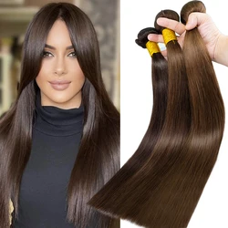 Human Hair Bundles with Closure Brazilian Silky Straight 100% Human Hair Bundles Natural Color Human Hair Extensions Thick Hair