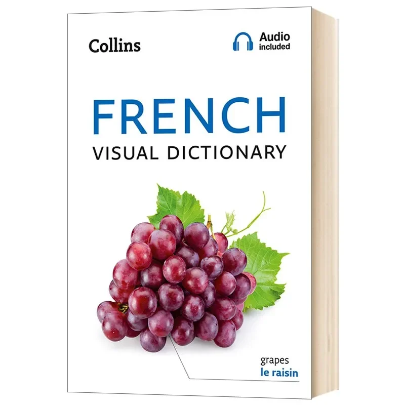 Collins Multilingual Visual Dictionary 4