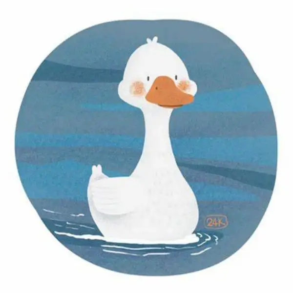 Duck Duck Furniture Store