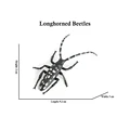Longhorned Beetles