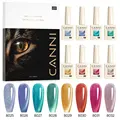 Dk cat eye gel kit