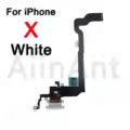 X White
