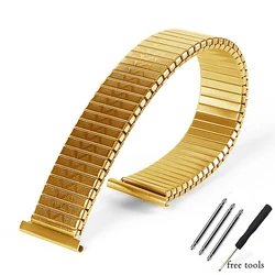 Versatile Elastic Stainless Steel Expansion Stretch Band - 16mm (Gold)