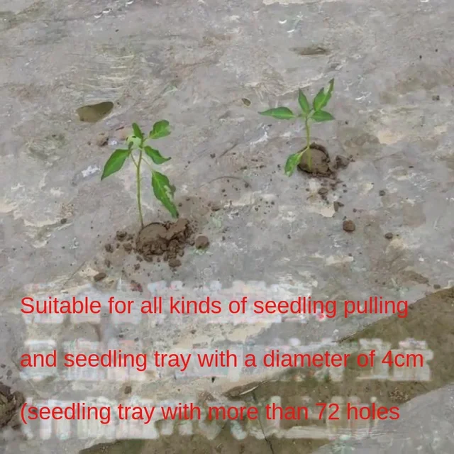 Yy Palánta Ültetési Szerszámgép Mezőgazdasági Lánc Záradék Kézikönyve Édes Burgonya Palánták Átültetési Gép - Image 4