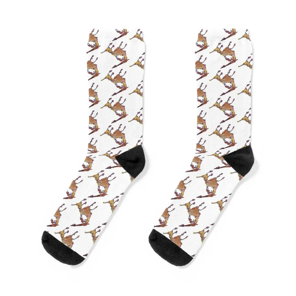 

Weedy Sea Dragon Socks anime ankle Men's Socks Women's