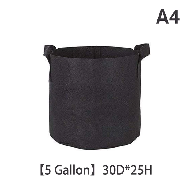 A4