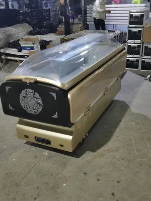 Crystal Coffin Portable Ice Coffin