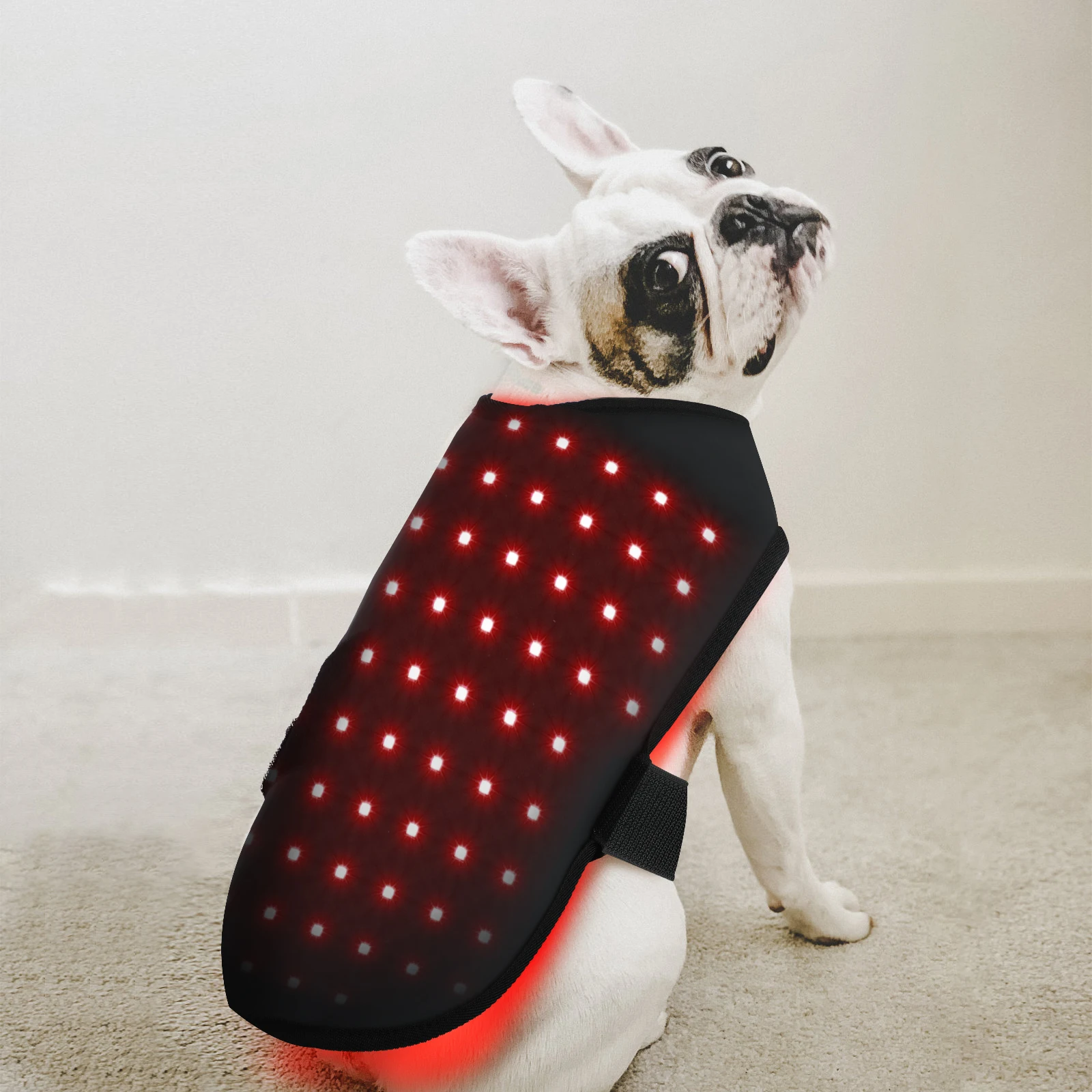 

Veterinary use Red light LED therapy physiotherapy equipment for Pet pain relief pain reduce light therapy coat for dogs