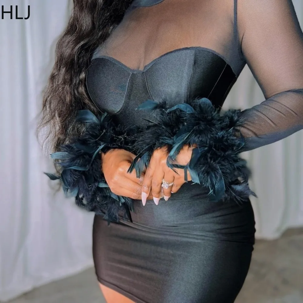 

HLJ Black Sexy Mesh Splicing Feather Bodycon Party Club Mini Dresses Women Round Neck Long Sleeve Slim Vestidos Fashion Clothing