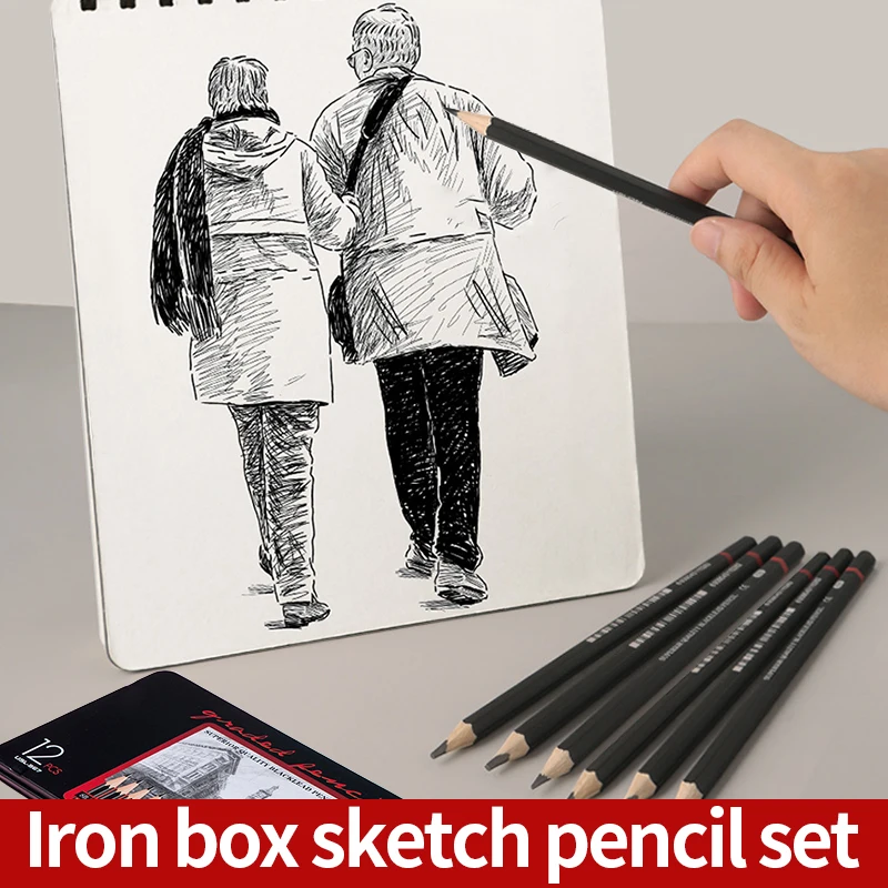 Professional Drawing Sketching Pencil Set - 12 Pieces Drawing Art Pencils  (8B - 2H) Graphite Shading Pencils for Beginners & Pro Artists 