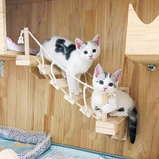Wall Mounted Cat Climbing Bridge Cat Hammock Sisal Ladder for Kitten Playing and Rest Wood Cat Bridge for Sleeping Playing Climb 2