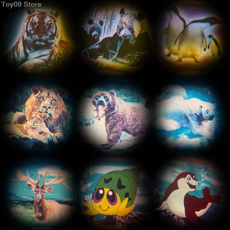 Рисунок 6 - Проекционная камера 7*5