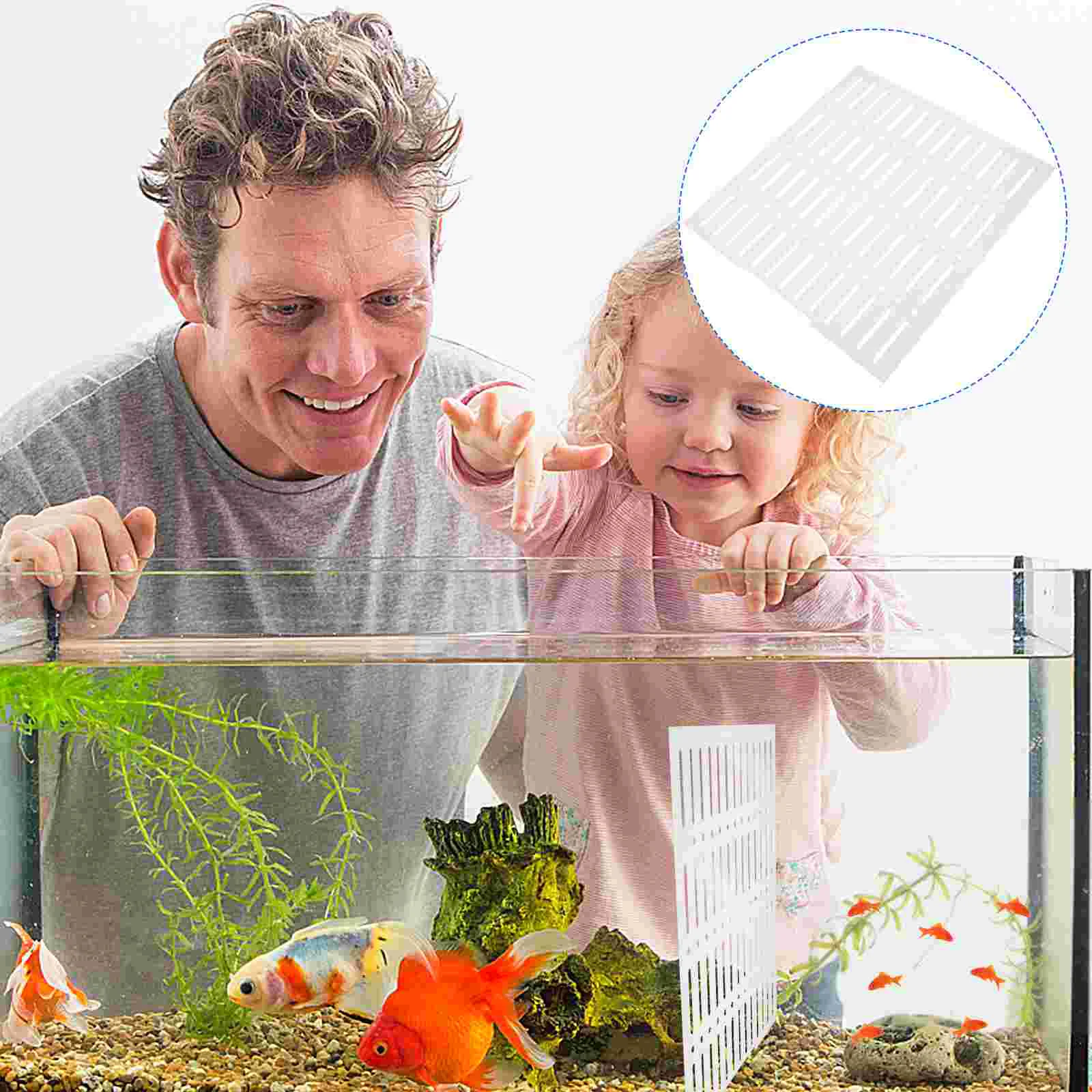 

Aquarium Fish Tank Acrylic Divider Isolation Board for Mixed Breeding Aquarium Isolation Plate Board with Suction Cups