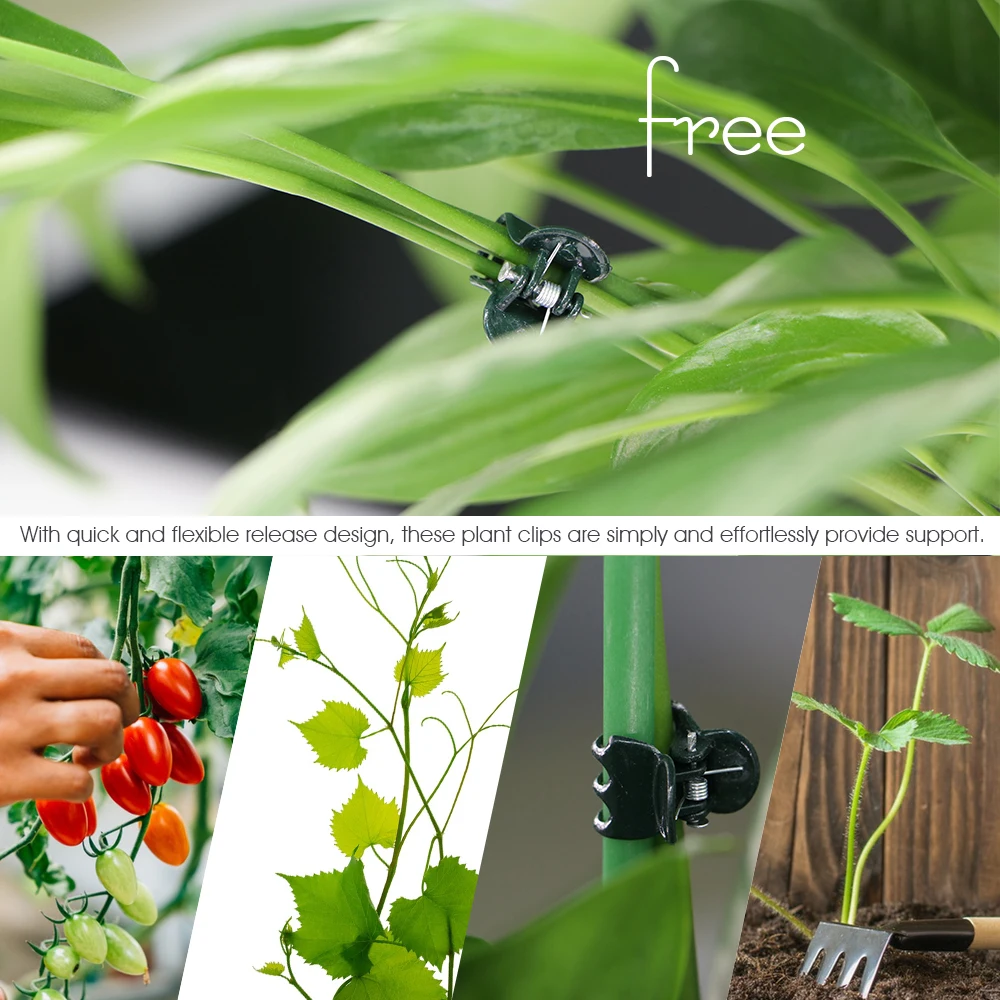 Dark Green Plant Clips - 6-Claw Climbing Stem Support Bundle