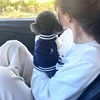 Cute Embroidered Pet Baseball Jackets Dog Clothes For Small Medium Cat Teddy Coat Puppy Spring Clothes Warm Fashion Pet Outfit 4