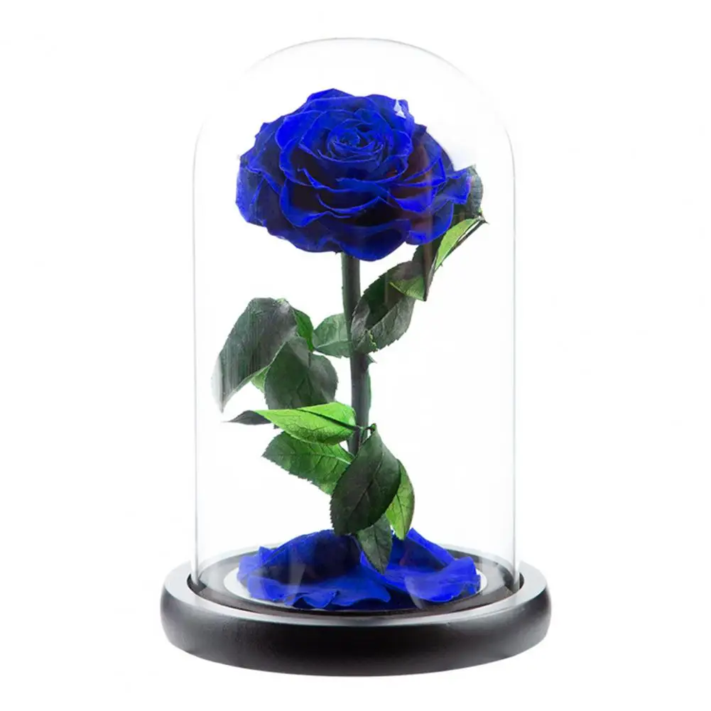 Nice-looking Lightweight Create Atmosphere Artificial Eternal Forever Rose  Decor Preserved Flower Festival Supplies - AliExpress