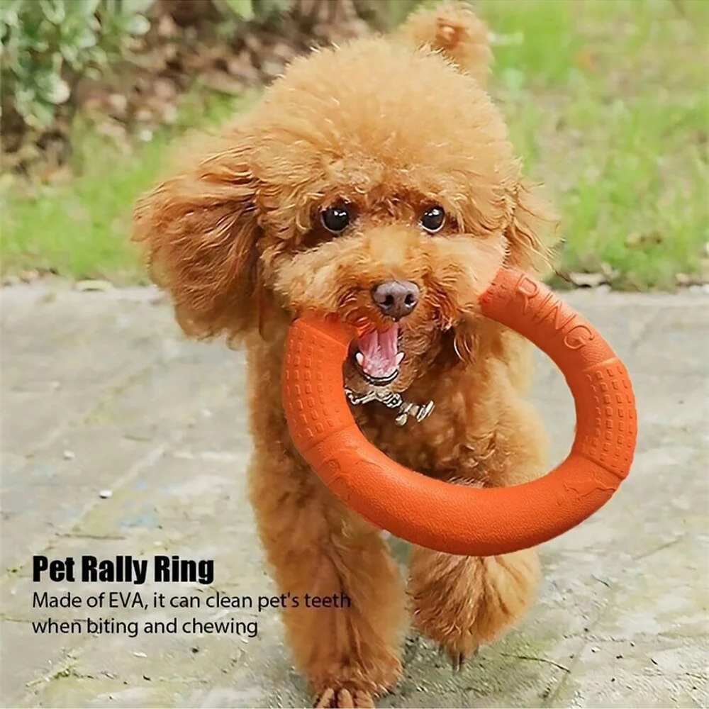 Durable Dog Ring Flying Disc, Soft Chew-Resistant Fun Fetch & Catch Water Floating Toy EVA Material Outdoors Dog Toys Pet Toy