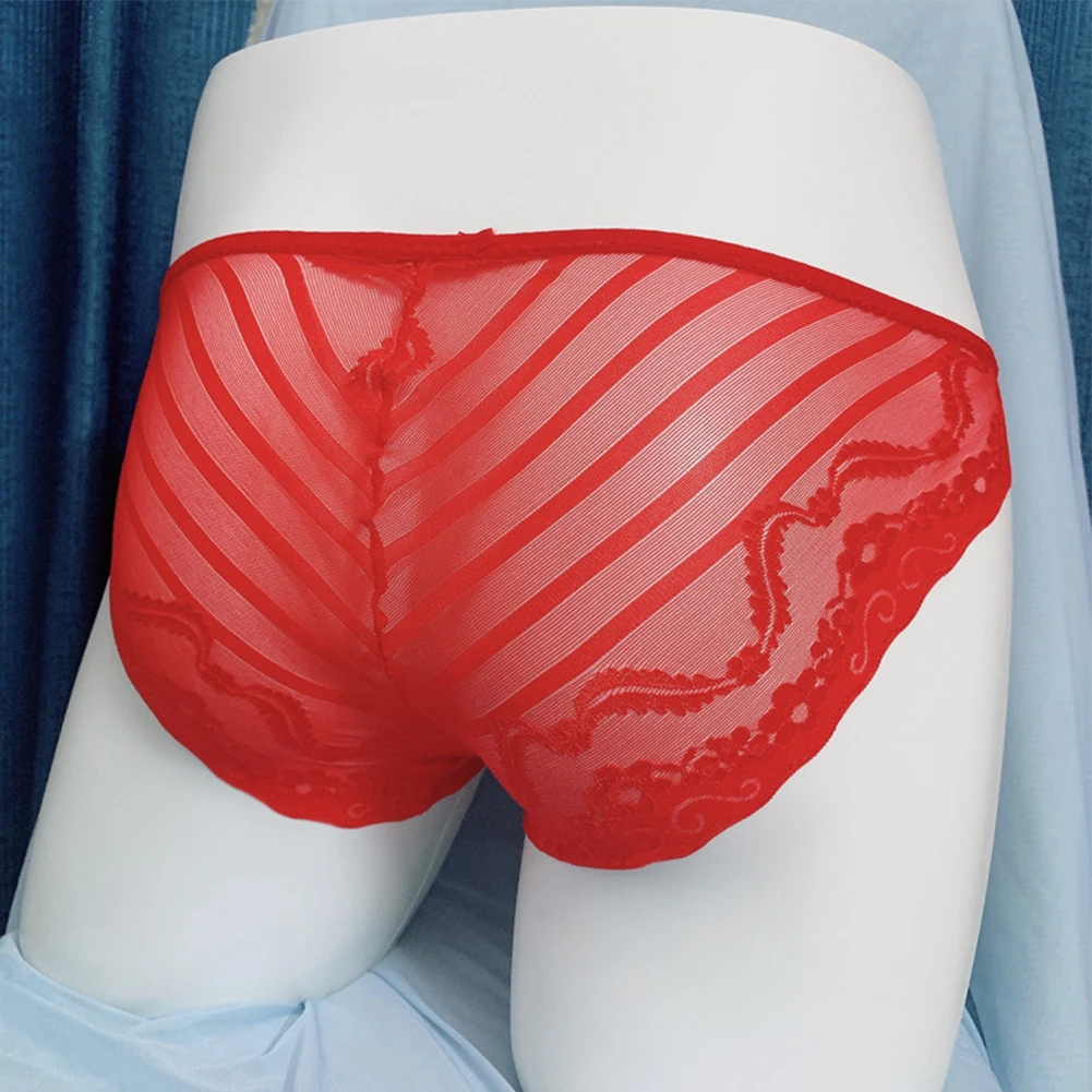 

Everyday Wear Underwear Lingerie Breathable Briefs Comfortable Fitness Lace Men Nylon Pouch See-through Stretchy
