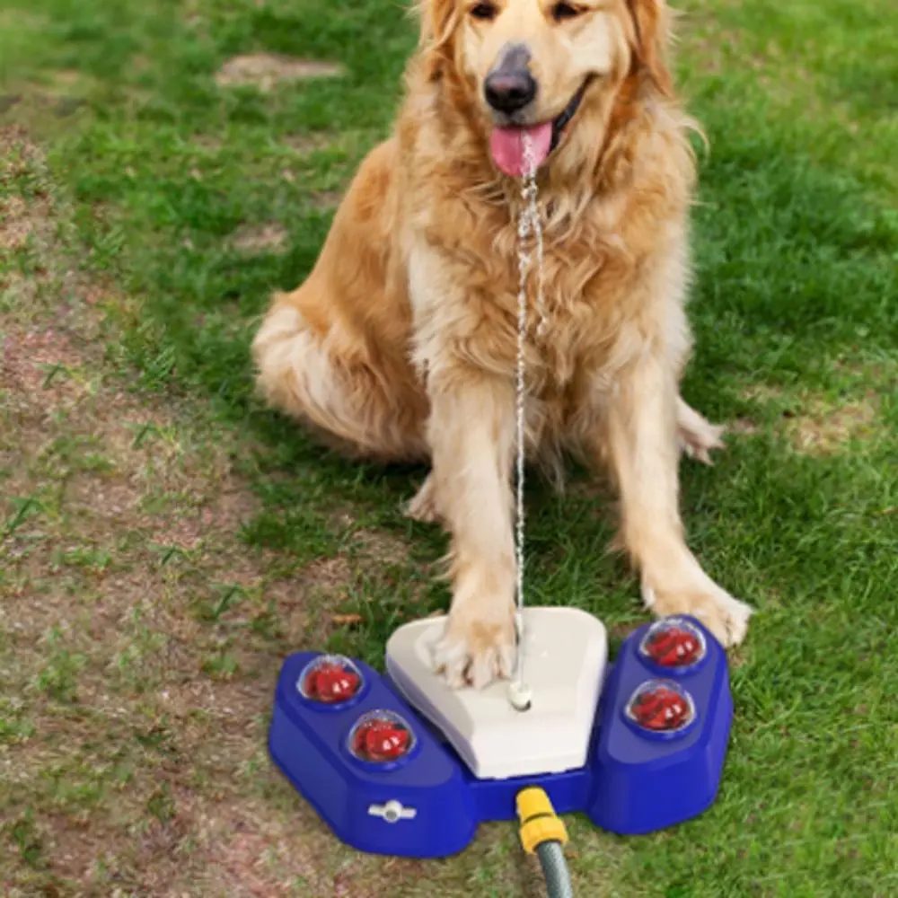 

Plastic Dog Playing Toys Durable Dog Water Fountain Pet Supplies For Dog Drinking
