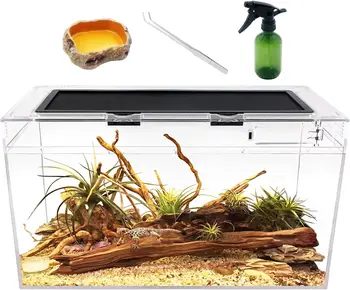 10 Gallon Reptile Glass Tank 1