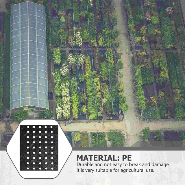 Perforált Talajtakaró Fekete Lap Film Termikus Szigetelő Mezőgazdasági Növényi Növények - Image 5