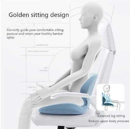 Sitting Posture Correction Chair Ergonomic Chair Back Support Lumbar Posture  Corrector for Low Back Pain Relief Cushion Office - AliExpress