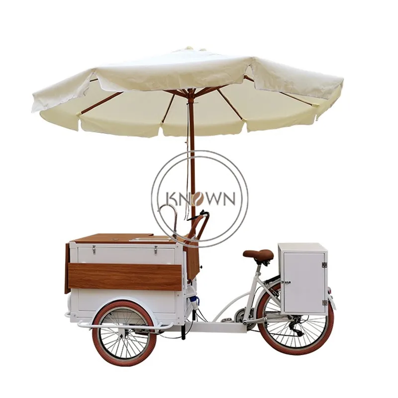 

3 Wheels Outdoor Mobile Food Bicycle Electric Retro Coffee Vending Bike Tricycle for Sale