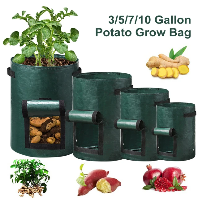 3/5/7/10 Gallon Burgonya Táska Pe Zöldség Ültetési Fogantyú Hagyma Sárgarépa Paradicsom Termesztési Edények Kerti Szerszámok - Image 4