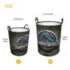 Custom Jurassic Park Laundry Basket Collapsible Dinosaur World Baby Hamper for Nursery Toys Organizer Storage Bins 6