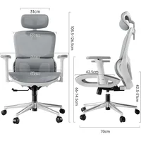 P2 Pro Ergonomic Office Chair, Office Chair with 3D Lumbar Support, Big and Tall Mesh Chairs with 3D Arms, Headrest & Comfortab 2