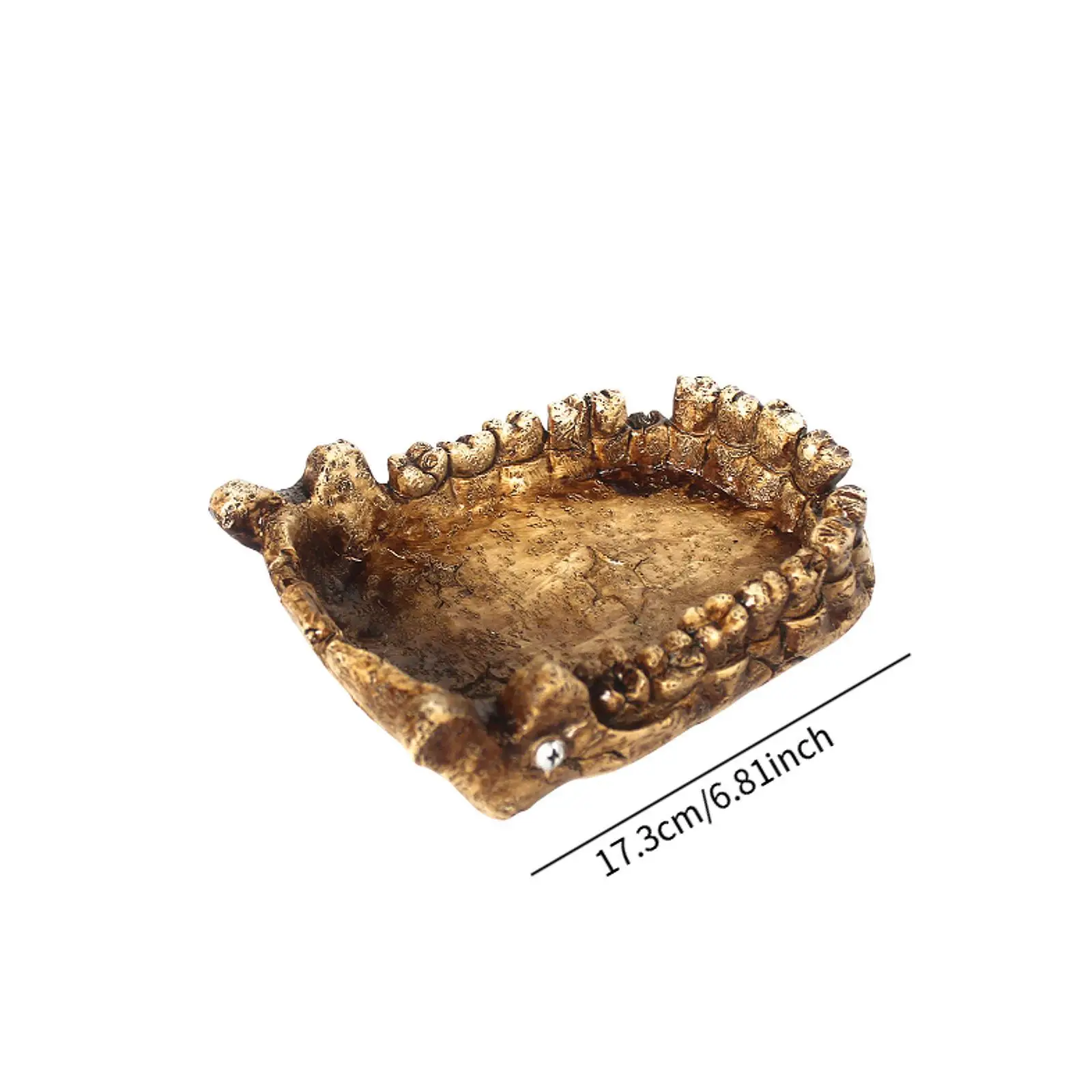 Reptile Feeding Bowl Resin Decorations Bathing Bowl Turtle Bath Terrarium Plate for Frogs Chameleon Pet Supplies Lizards Gecko